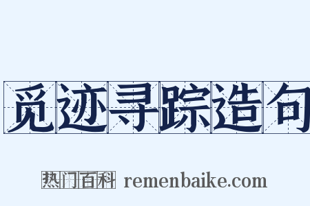 觅迹寻踪造句是什么意思的图片